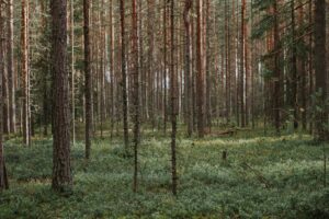 Alanud on registreerimine „Teaduspõhine ettevõtlus“ kursusele